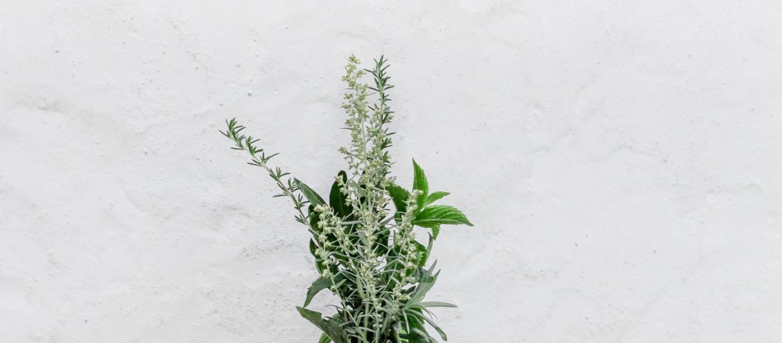 nordwood-themes-535273-unsplash